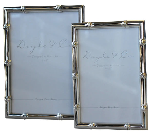 Silver Plated Bamboo Frame