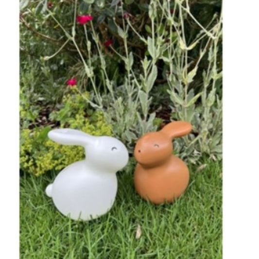 Rabbit Watering Can