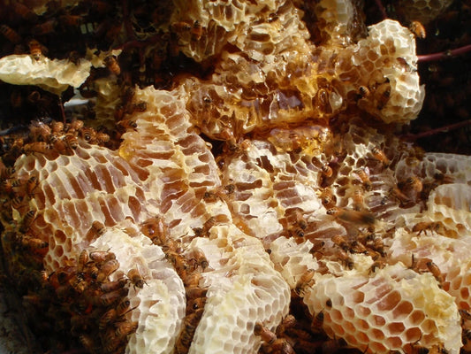 Niue Honey by Peter Gordon