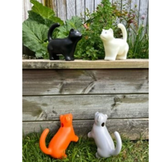 Cat Watering Can
