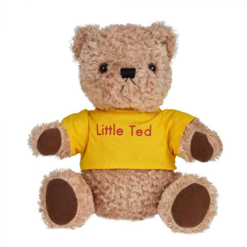 Little Ted Soft Toy