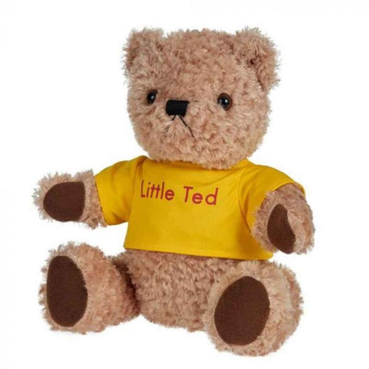 Little Ted Soft Toy
