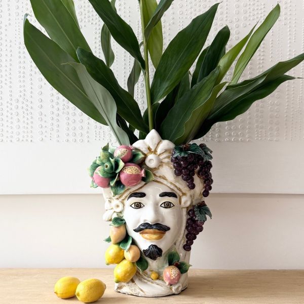 Moor Head King Fruit