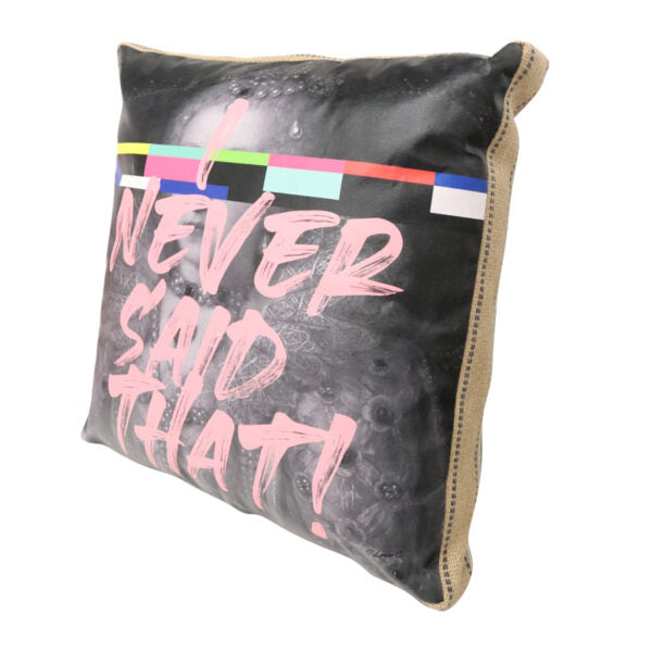 Art Cushion I Never Said That
