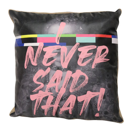 Art Cushion I Never Said That