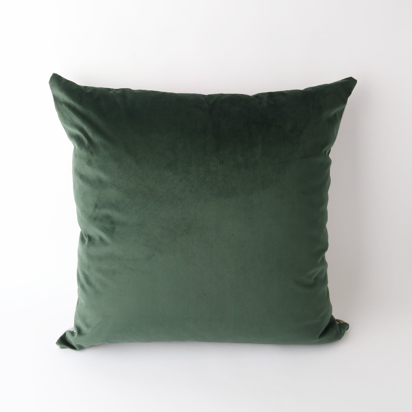 Art Cushion Velvet LV