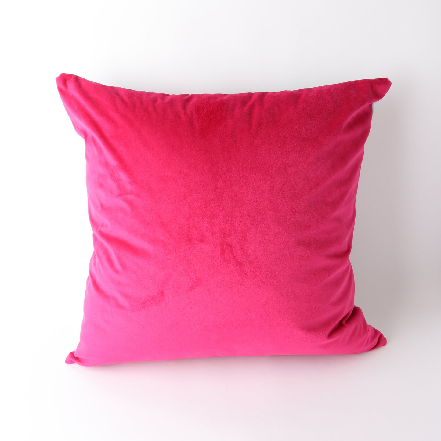 Art Cushion Velvet Vo 5 Paris