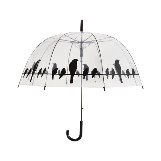 Umbrella Transparent