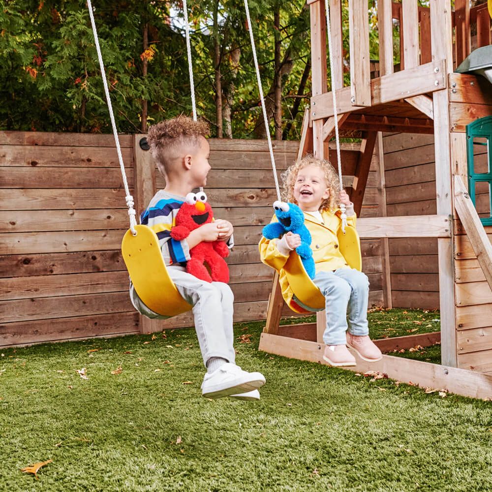 Sesame Street Cookie Monster Soft Toy