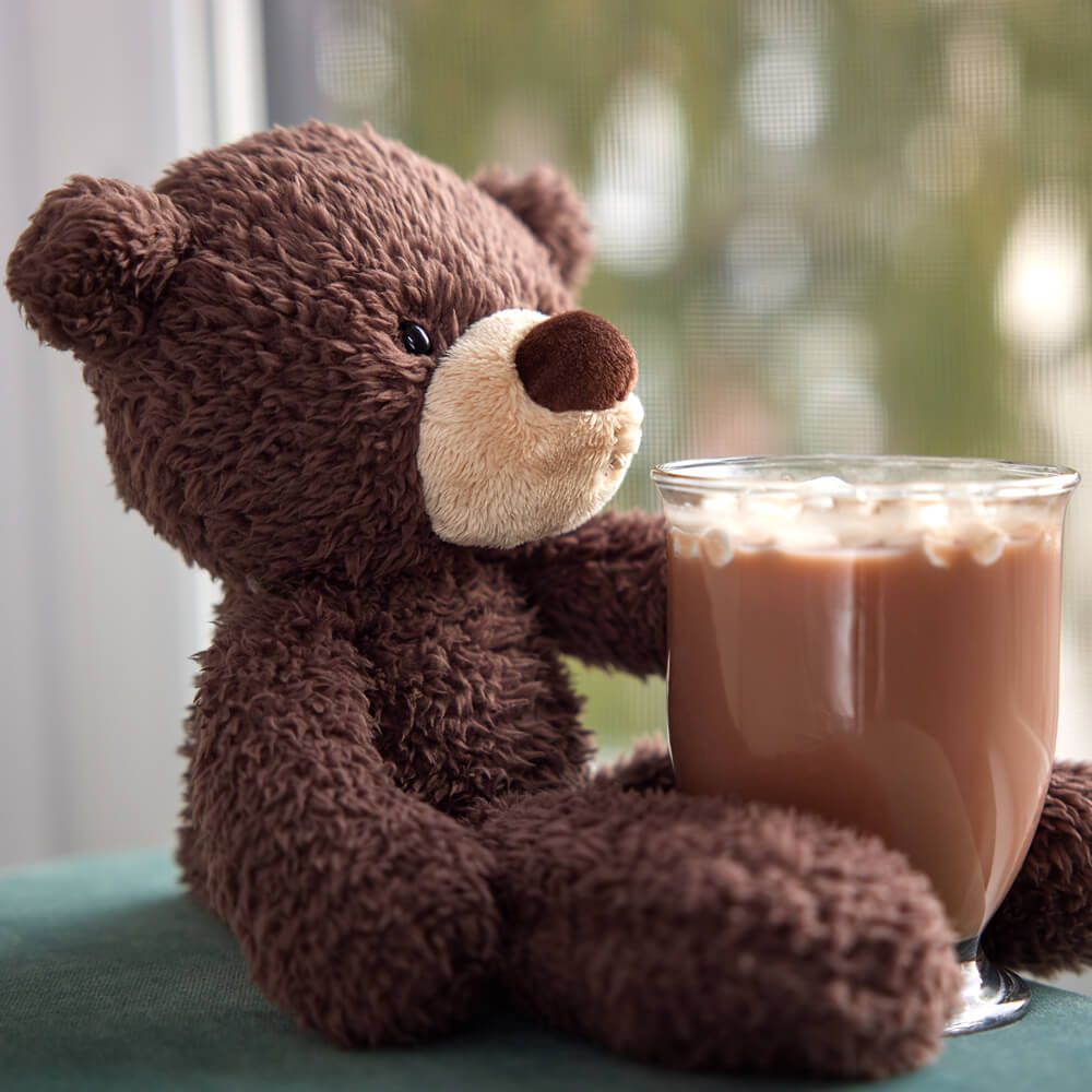 Fuzzy Bear