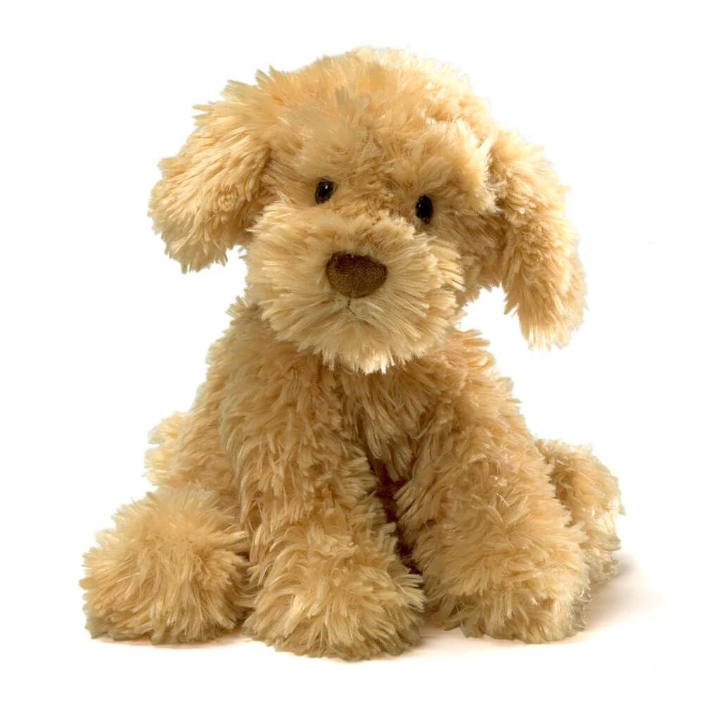 Nayla Cavoodle