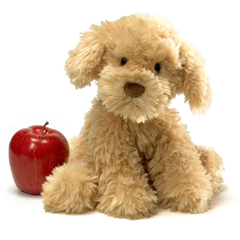 Nayla Cavoodle