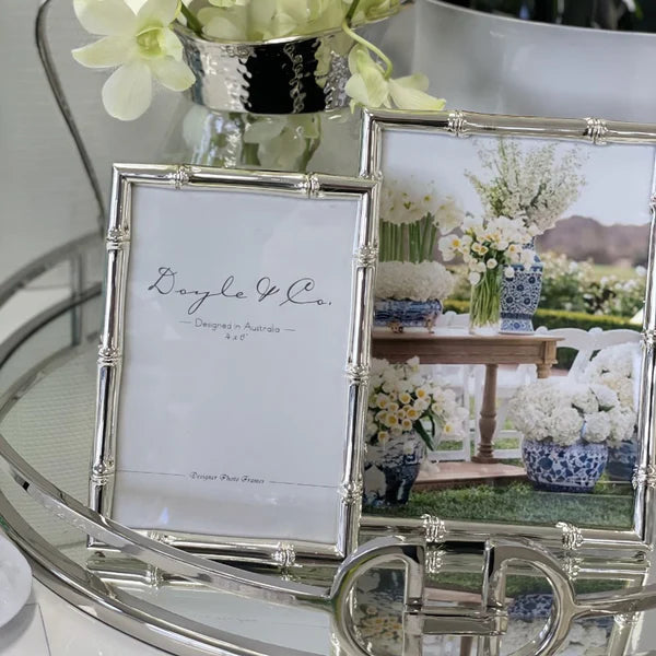 Silver Plated Bamboo Frame