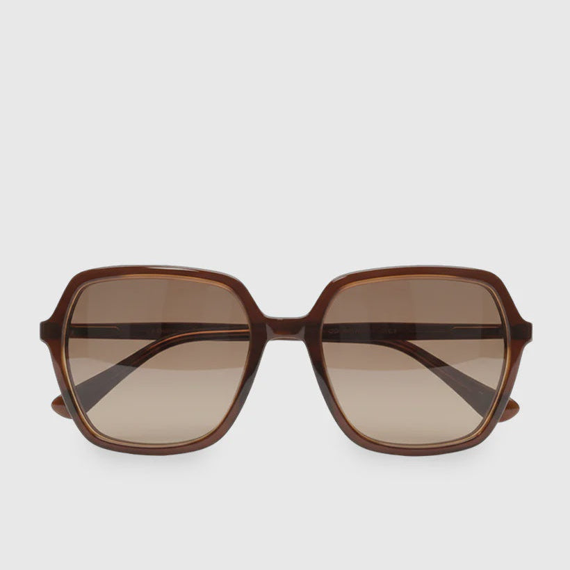 Logan Sunglasses Brown