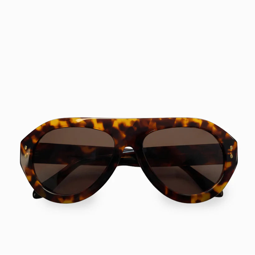 Tortoise Aviator