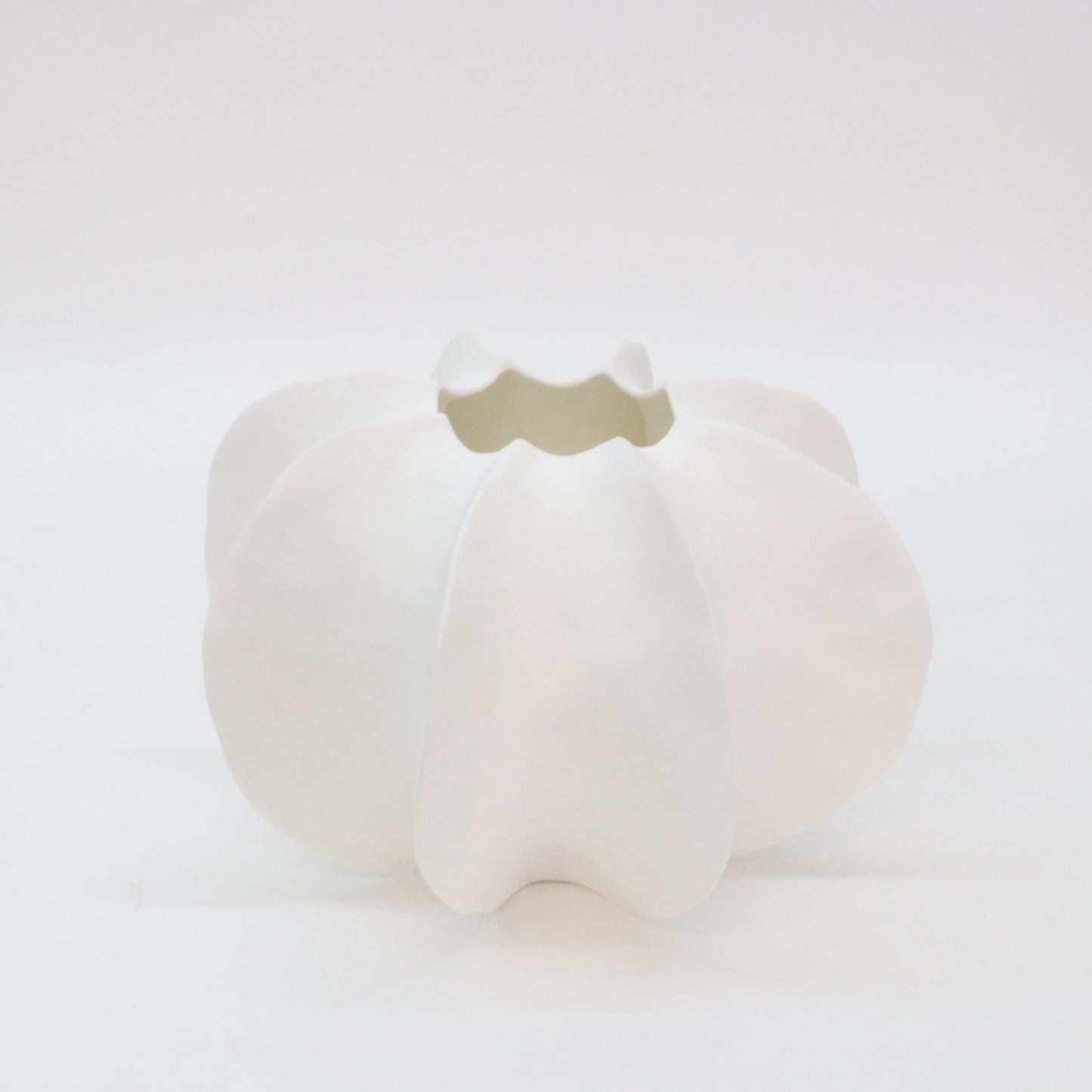 Pod Vase