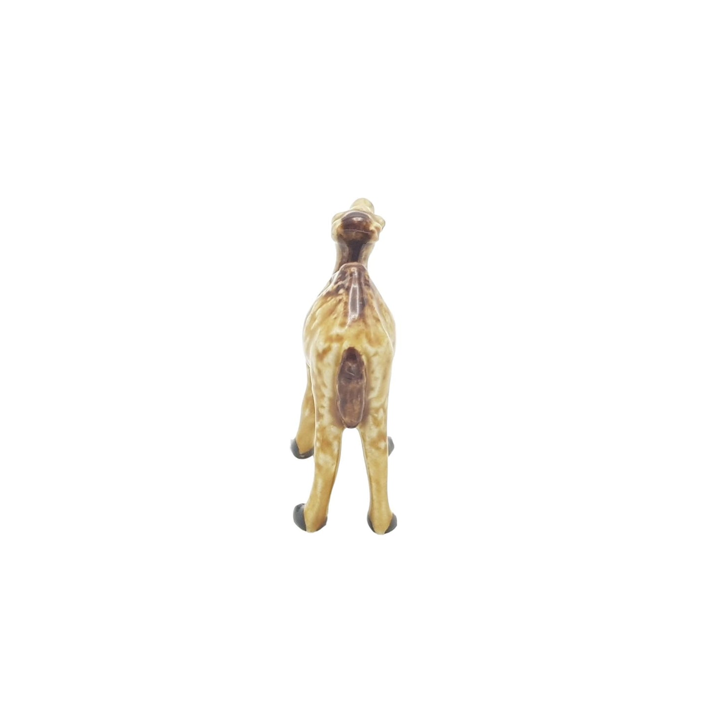 Camel Small