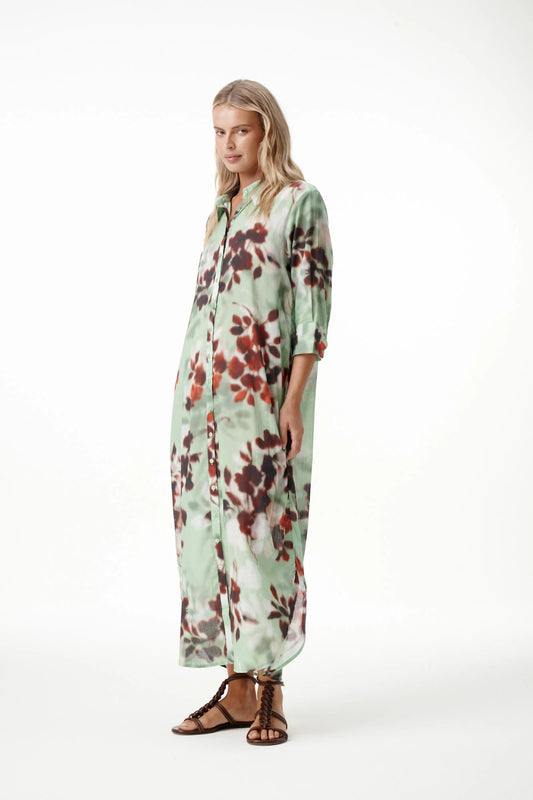 Long Daisy Pistachio Dress