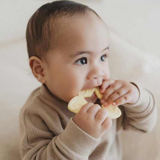 Whetu Teether