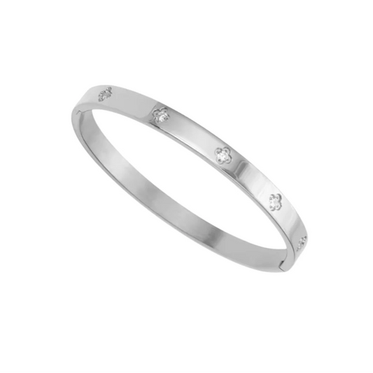 Monte Bangle