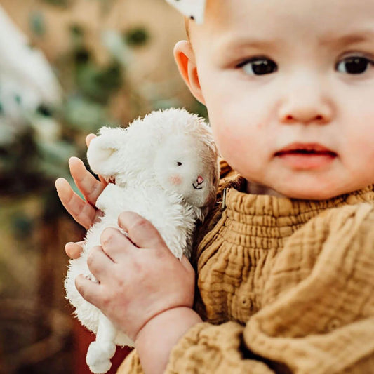 Kiddo Lamb Roly Poly