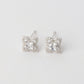 Calli Cubic Zirconia Earrings 925 Silver