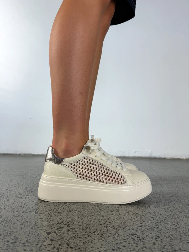 BIBI - Ivory Mesh