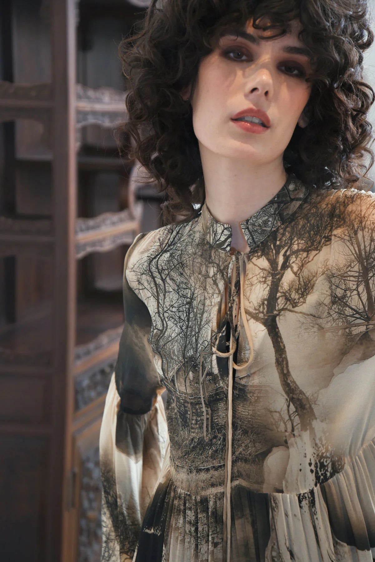 STORY OF LIFE DRESS