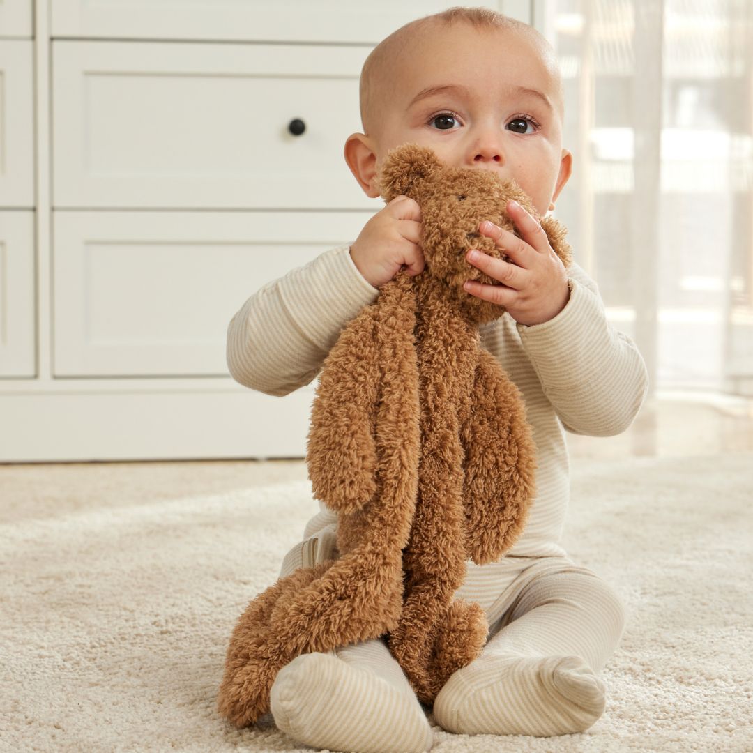 Cuddly Bear Comforter