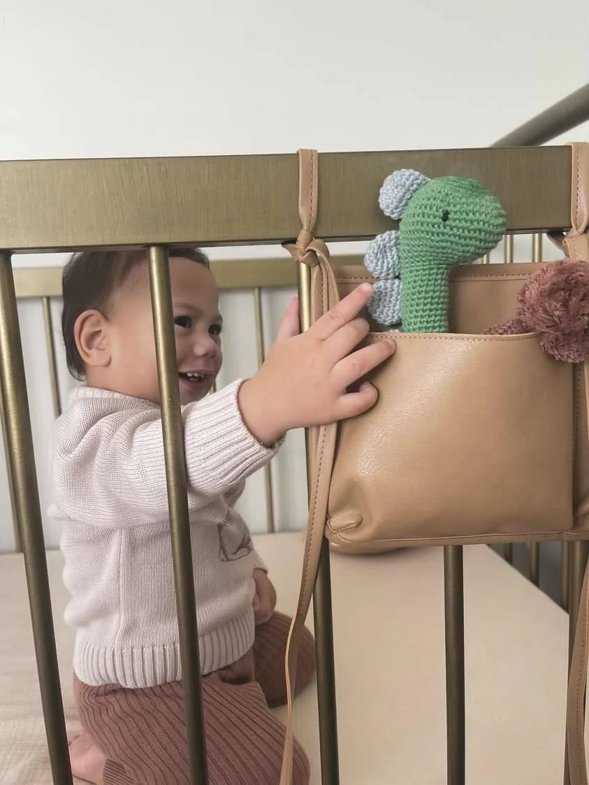 CROCHET DINOSAUR RATTLE