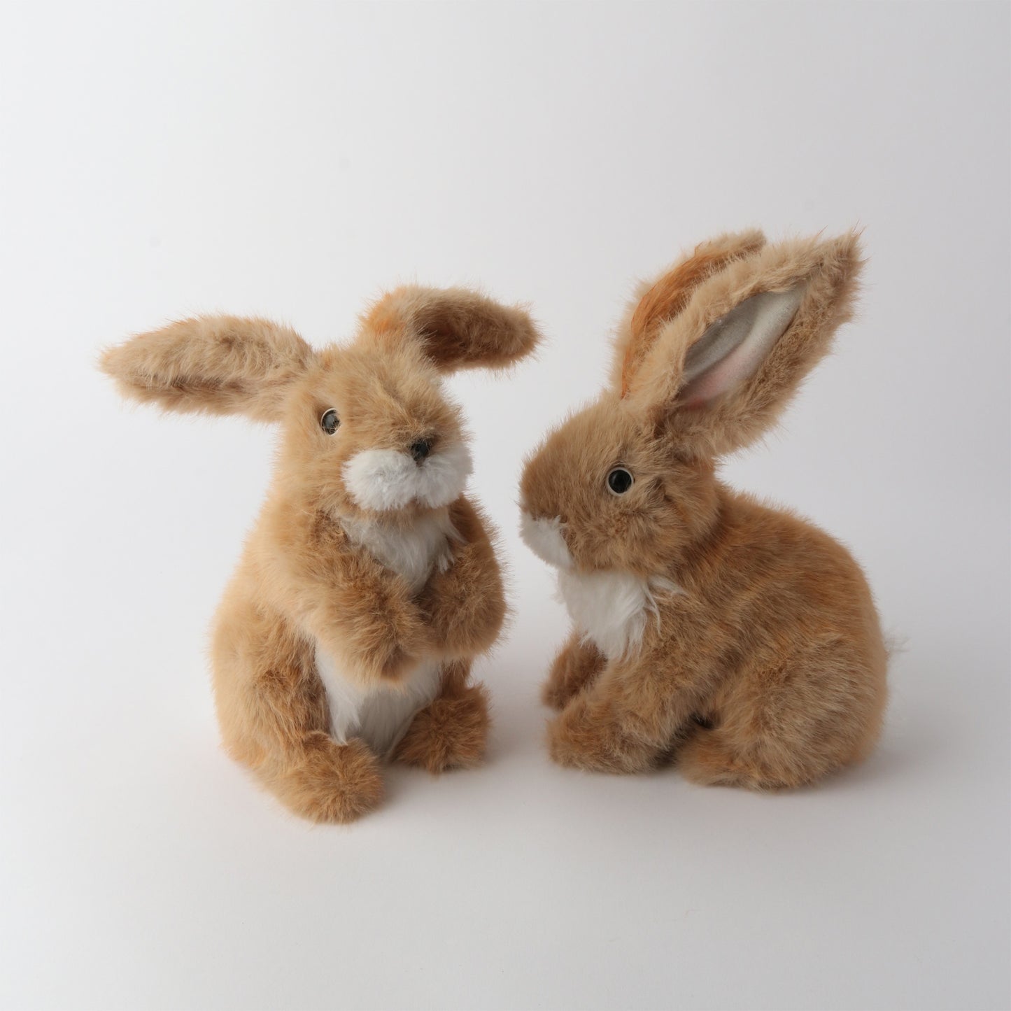 Easter Oxford Bunnies #6