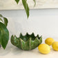 Mode Cacti Bowl H12 x D22