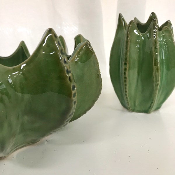 Mode Cacti Bowl H12 x D22