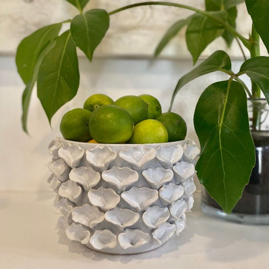 Oyster Vase