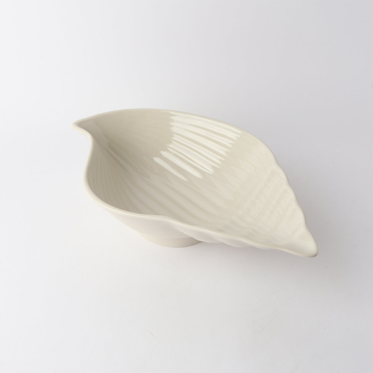 Melamine Conch Shell 40cm