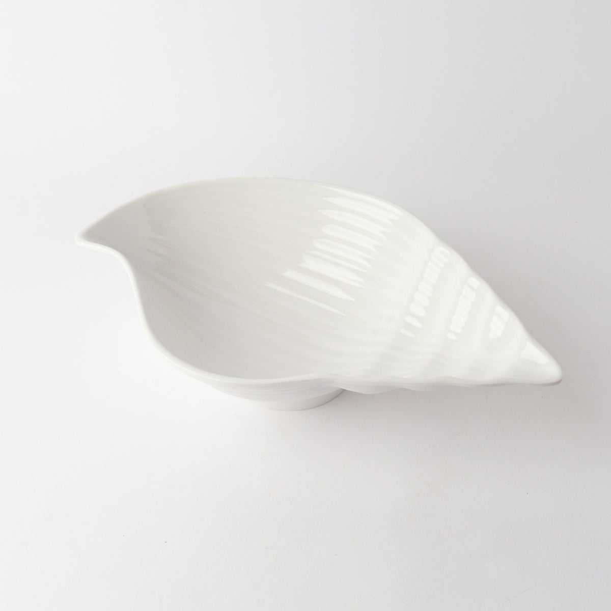 Melamine Conch Shell 40cm