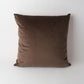 Art Cushion Velvet Tiger