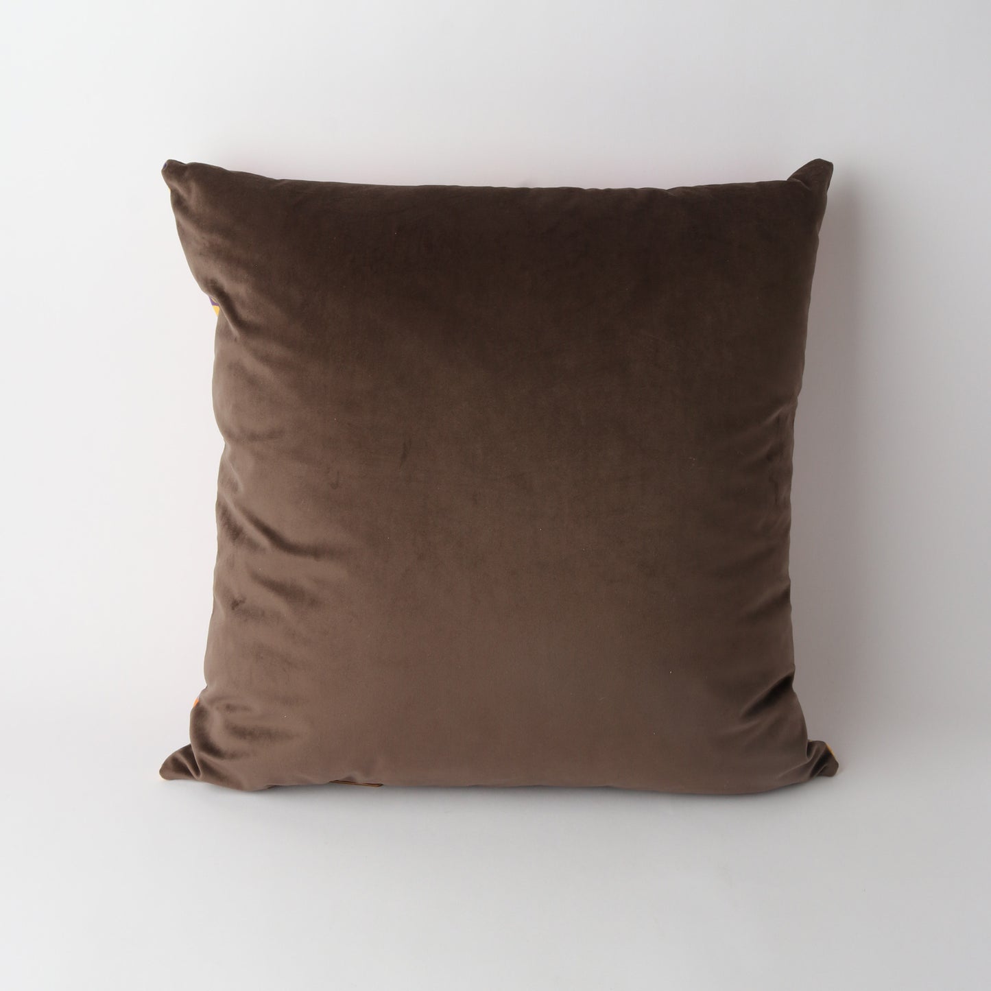 Art Cushion Velvet Tiger