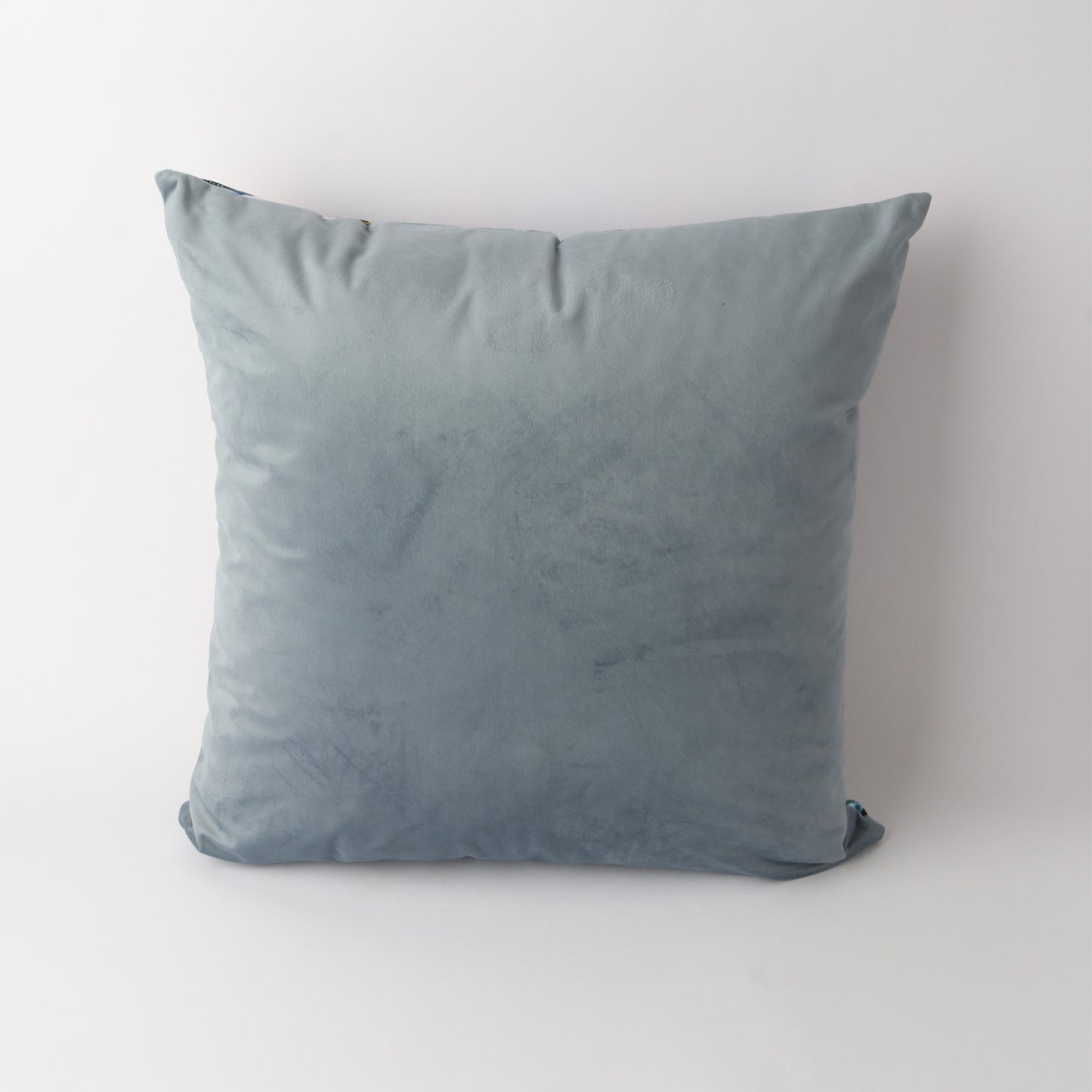 Art Cushion Velvet Zebra