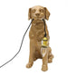 Labrador Table Lamp
