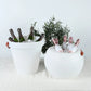 Pali Ice Bucket Outdoor Lamp