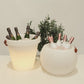 Pali Ice Bucket Outdoor Lamp