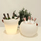 Luna Ice Bucket Outdoor Lamp