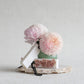 Wax Tabs Silk Rose