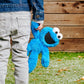 Sesame Street Cookie Monster Soft Toy