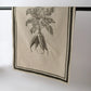 French Linen Tea Towel / Natural & Olive