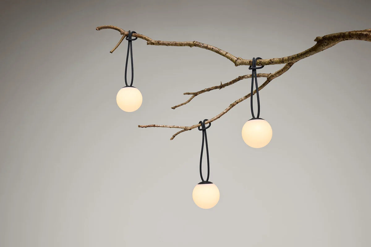Bolleke Mini Trio