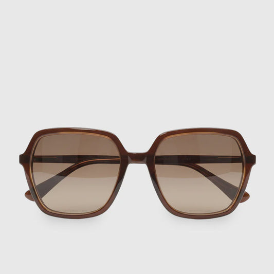Logan Sunglasses Brown