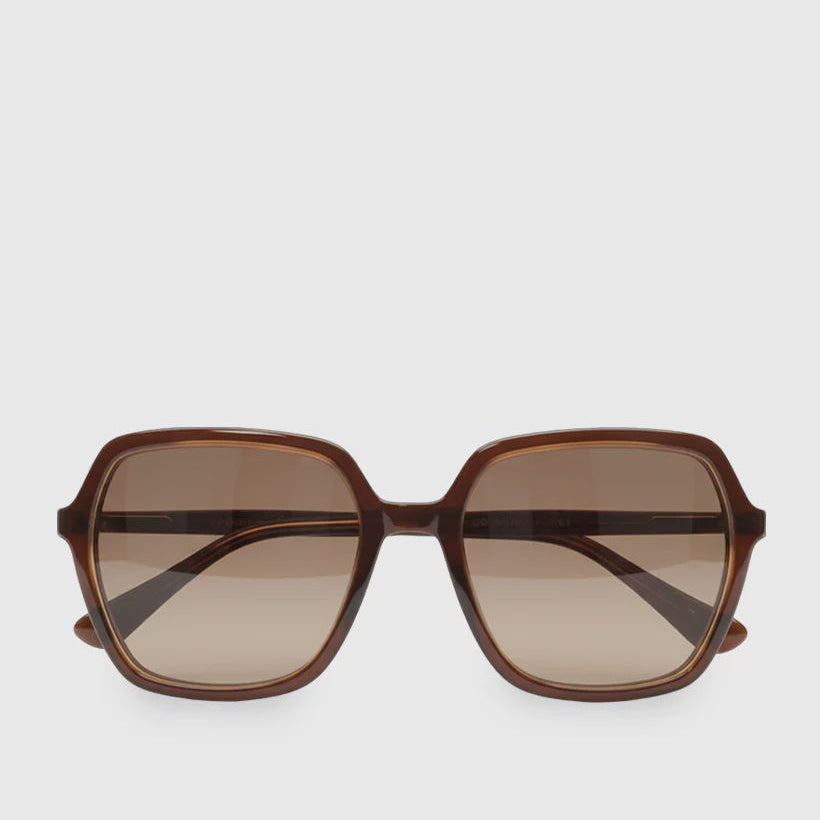 Fulton Sunglasses Brown