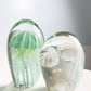 Jellyfish Paperweight Pair